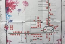 chelsea in bloom map