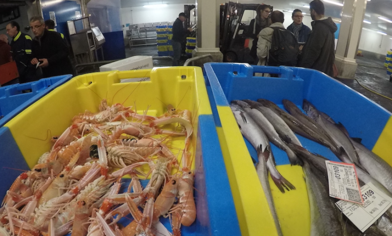 fraserburgh fish market